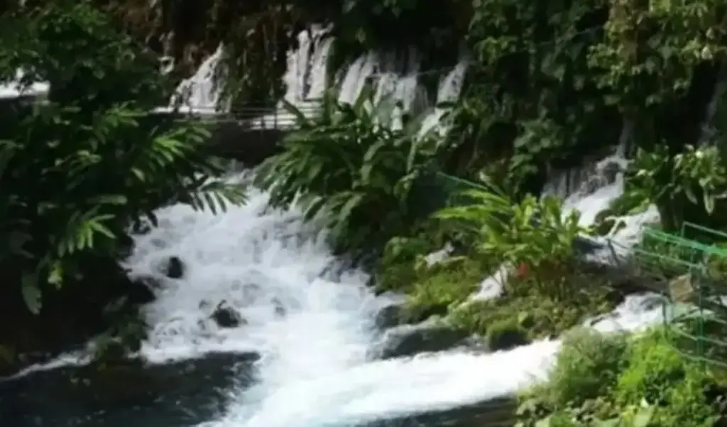 Imagen 'Nace el río', un oasis en Veracruz; así puedes visitarlo