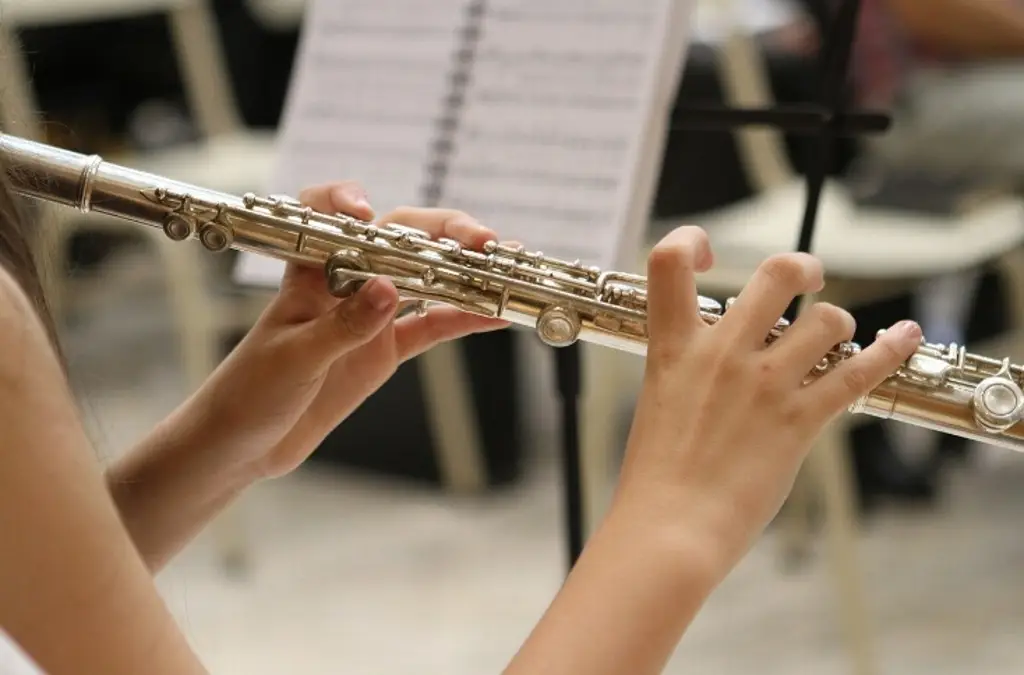 Imagen Día del Músico: ¿Cómo ayuda la música en el desarrollo humano?