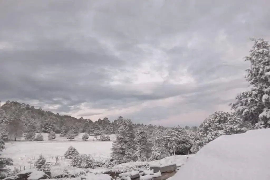 Imagen Así recibieron la primera nevada de la temporada al norte de México (+Fotos)