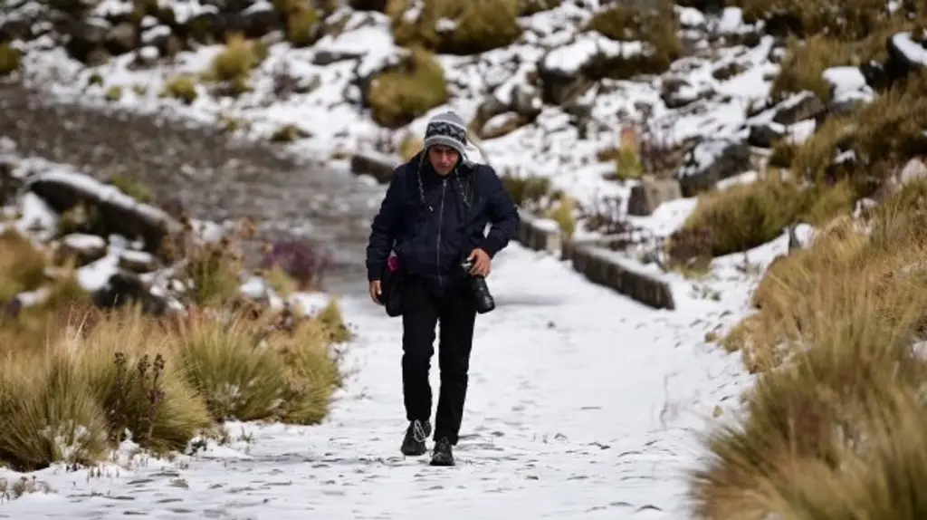 Imagen Familia conoce la nieve por primera vez tras visitar Cofre de Perote 