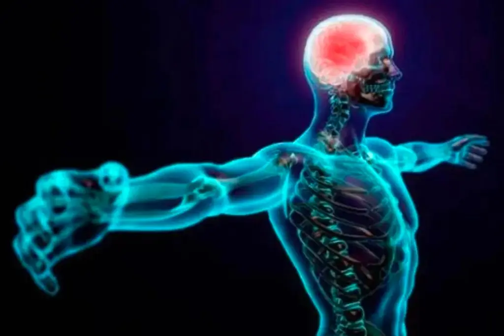 Imagen Con estos avances genéticos puedes conocer más de tu salud 