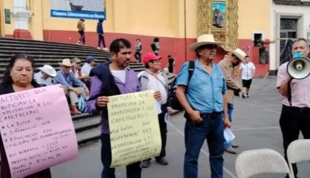 Imagen Cafetaleros exigirán pago de compensación ante desplome de precios