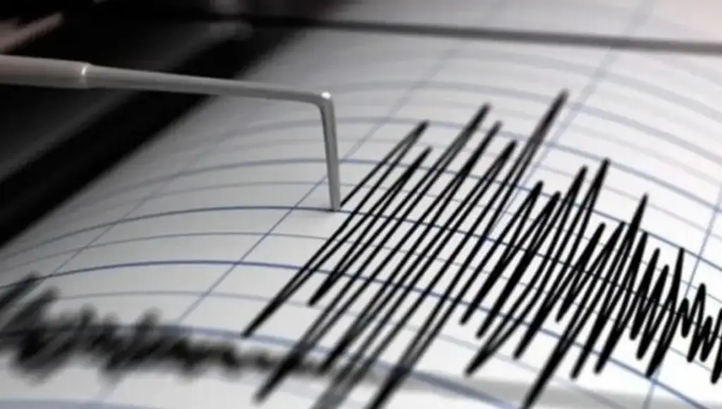 Imagen ¿Grandes terremotos pueden dar señales detectables meses antes? Esto dice estudio 