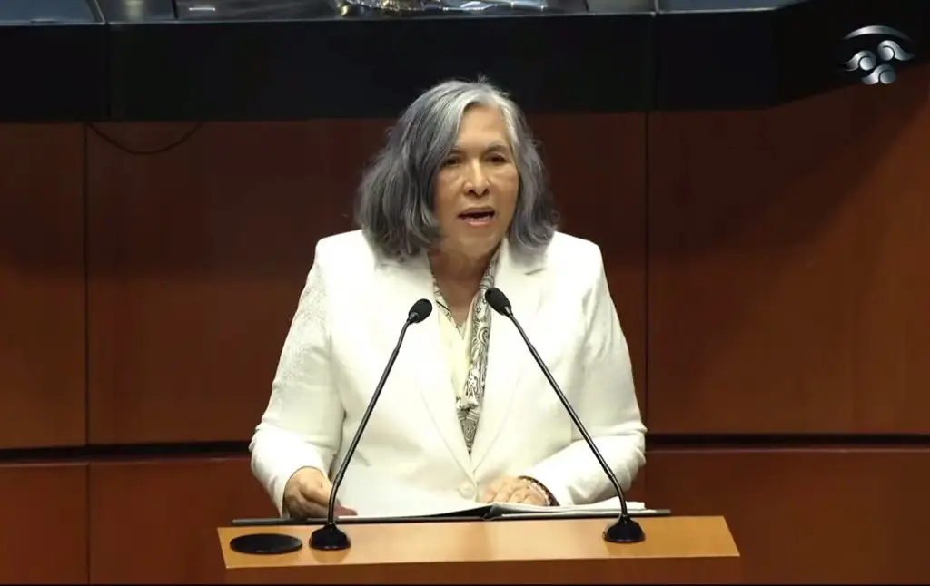 Imagen Ante senadores, María Estela Ríos sostiene la necesidad de una reforma al Poder Judicial