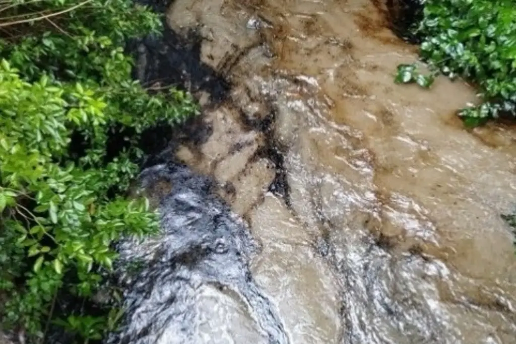 Imagen Aseguran que fuga de hidrocarburo contamina arroyos en comunidades de Papantla 
