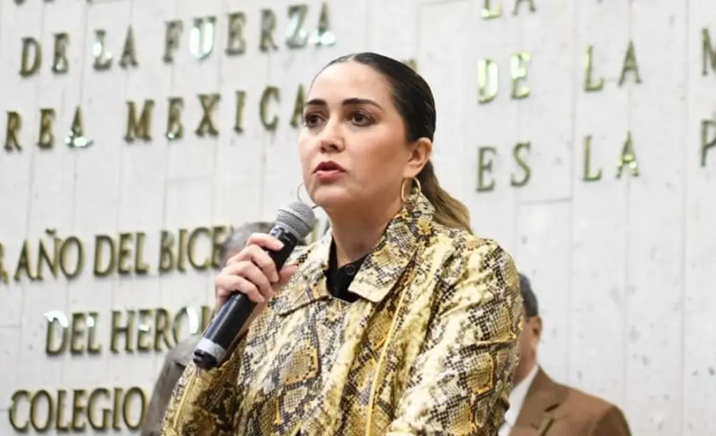 Imagen Recibimos un presupuesto no evaluable en materia de resultados: Diputada del PRI 