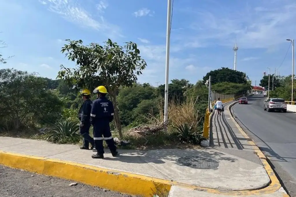 Imagen Mujer llega al puente Torrentes de Veracruz para aventarse, y esto ocurrió 