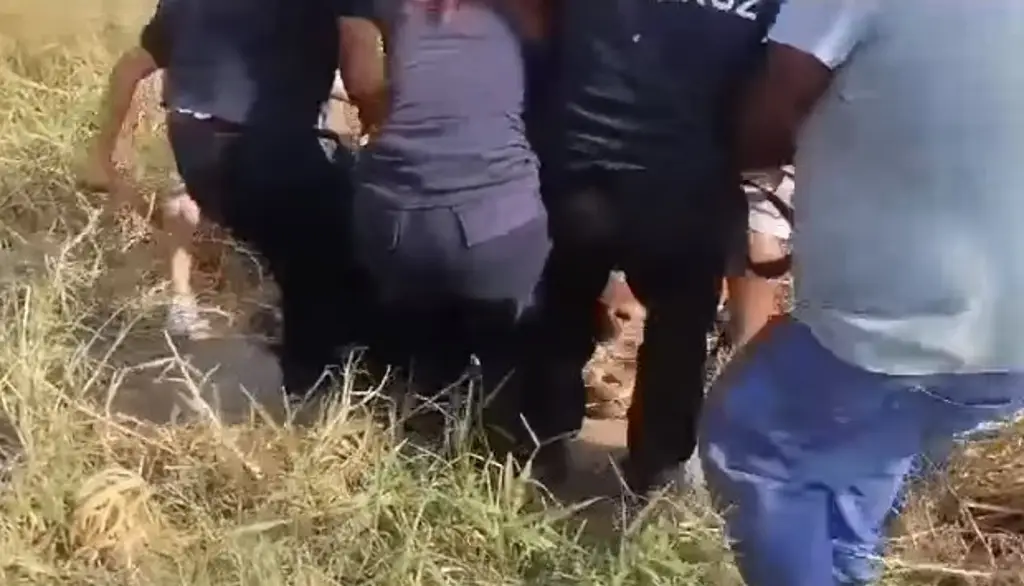 Imagen Hasta una vaca cae a registro de CFE sin tapa en Veracruz (+Video)
