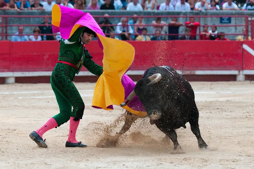 Imagen Suprema Corte autoriza corridas de toros en Plaza México