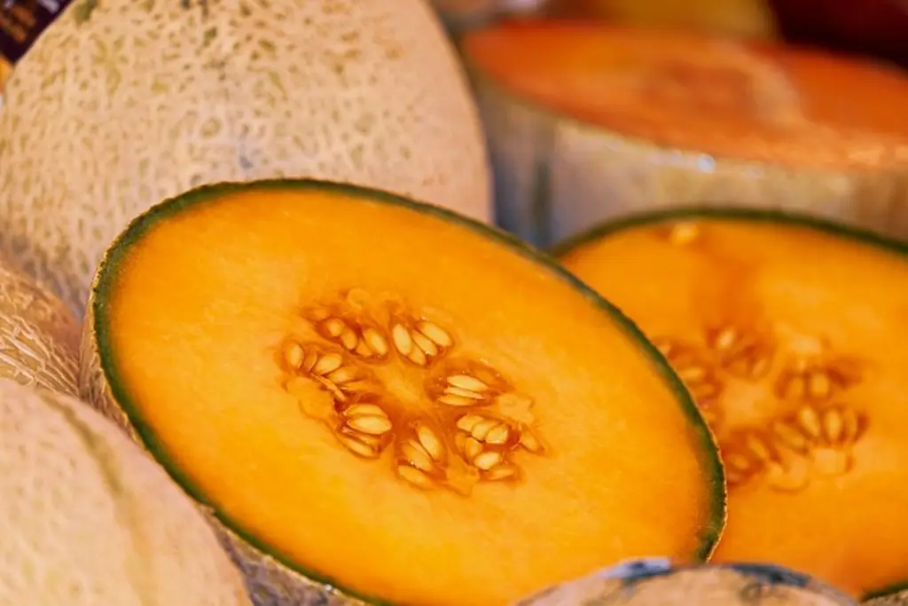 Imagen Suman 6 muertos en Canadá por melones mexicanos contaminados con salmonela