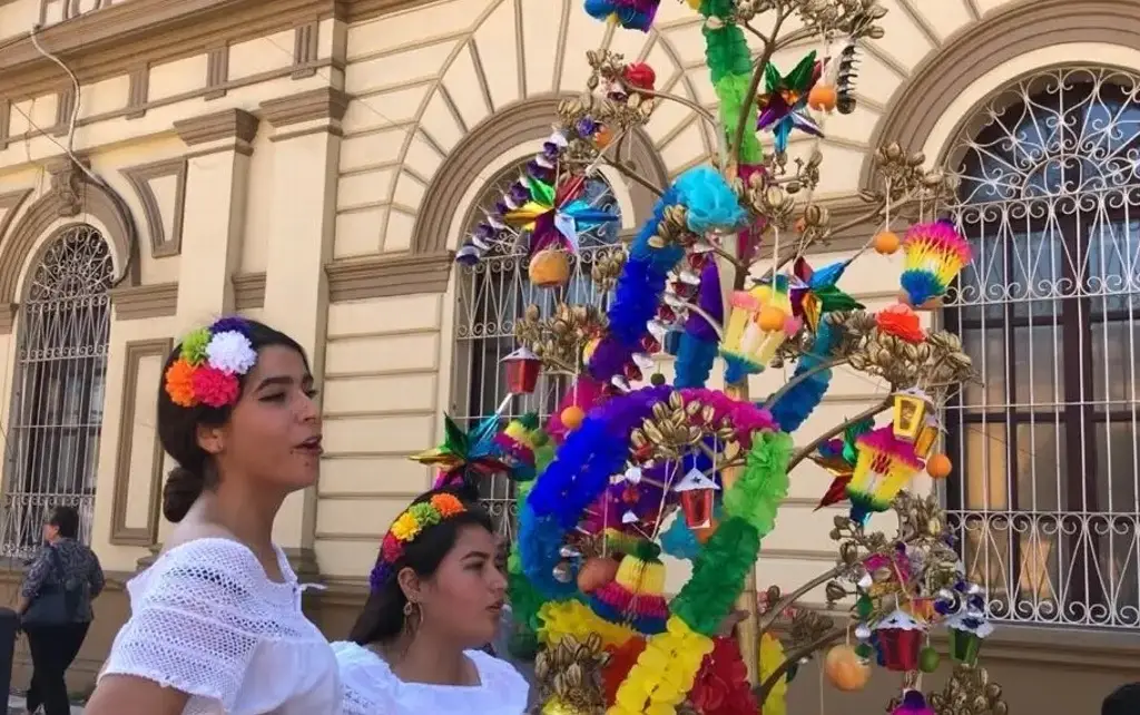Imagen ¡Hoy inician las ramas en Veracruz!
