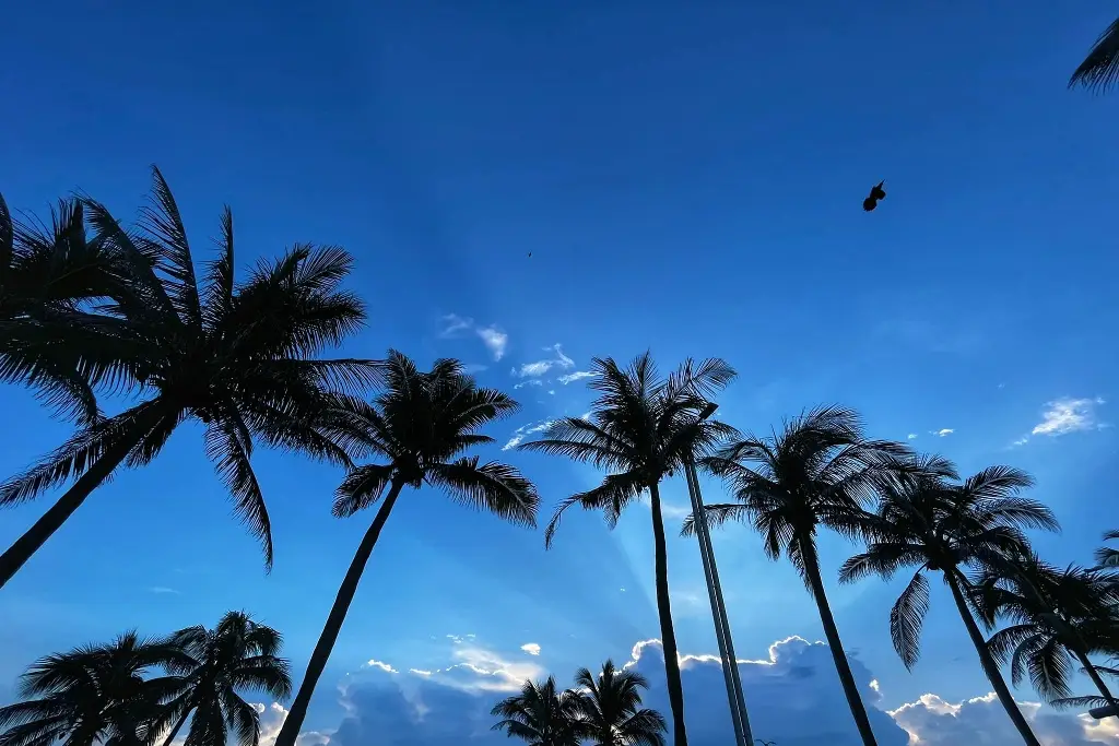 Este es el pronóstico del tiempo para Nochebuena en Veracruz Boca del