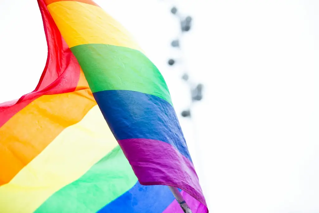 Imagen ¡Regocíjese la comunidad LGBTIQ+! Habrá cumbre en Veracruz