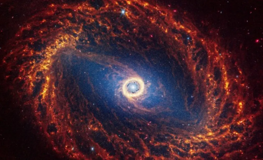 Imagen Telescopio Webb captura imágenes impresionantes de 19 galaxias espirales