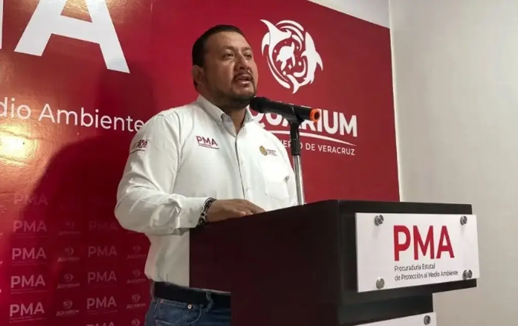 Imagen Así pueden obtener el 'certificado verde' empresas en Veracruz ¿En qué consiste?