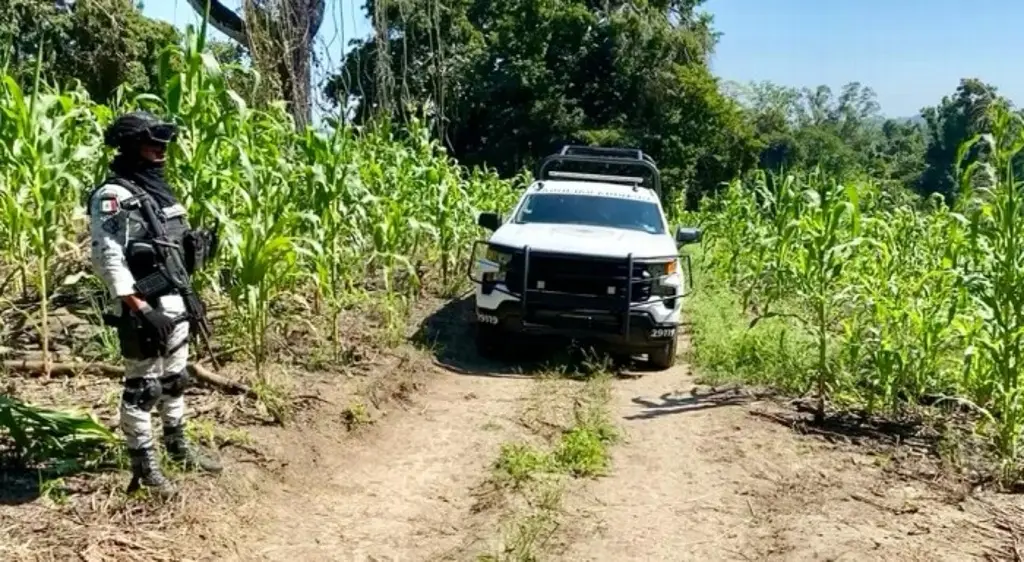 Imagen Localizan fosa clandestina en Tihuatlán, Veracruz; Fiscalía ya investiga
