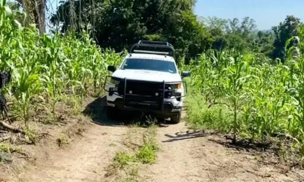 Imagen Recuperan cuerpo en predio de Tihuatlán, Veracruz, informa la FGE 