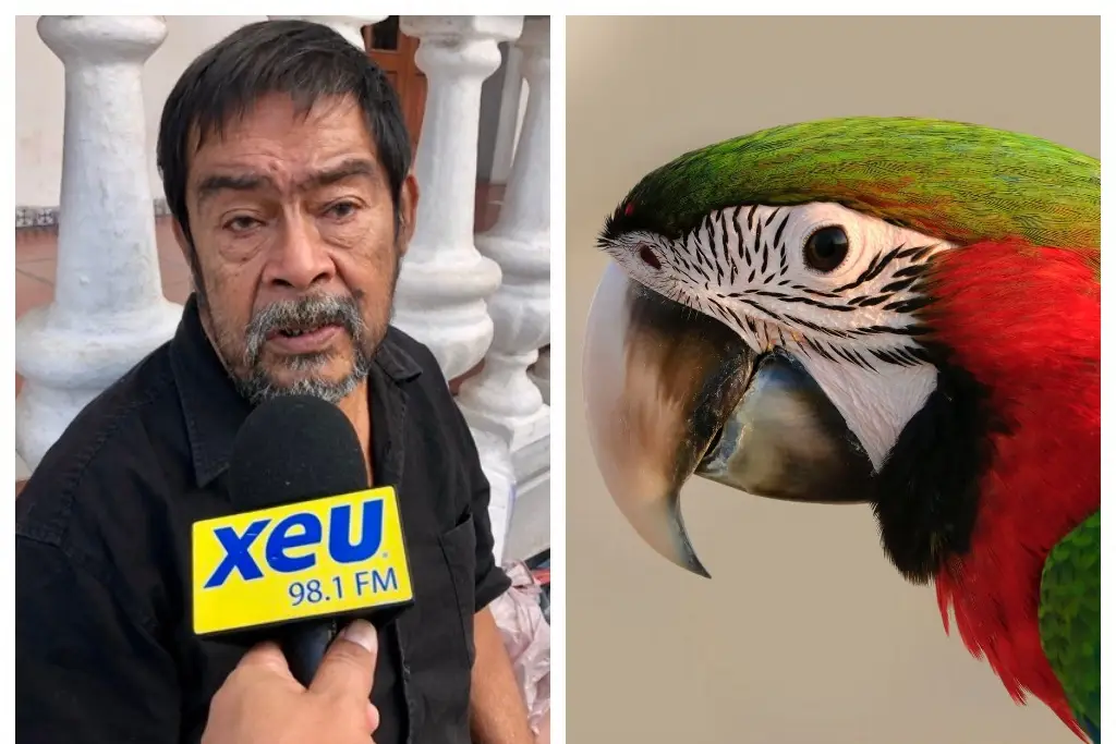 Imagen Esta es la historia de Chabela y Quico el Globero, esto pasó en Veracruz 