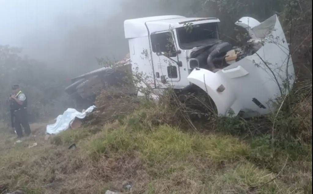 Imagen Lluvia y neblina ocasionan varios accidentes en autopista de Veracruz 