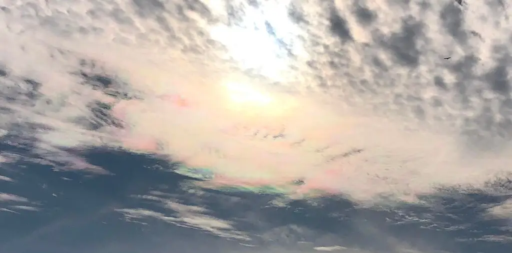 Imagen Captan nubes iridiscentes en Veracruz