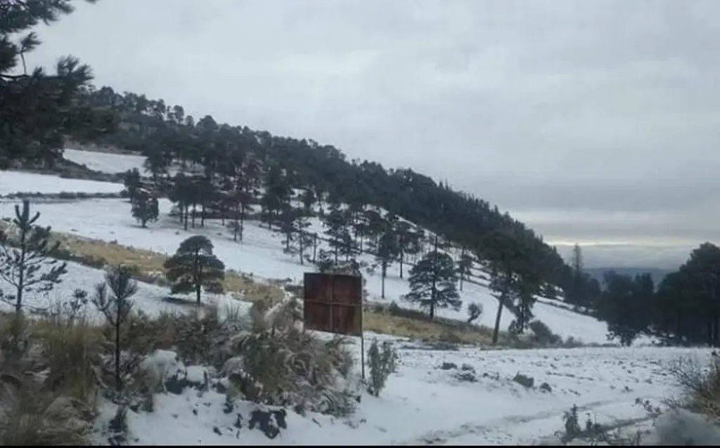 Imagen Tras cuarta nevada, reportan asistencia de más de 300 personas en el Cofre de Perote