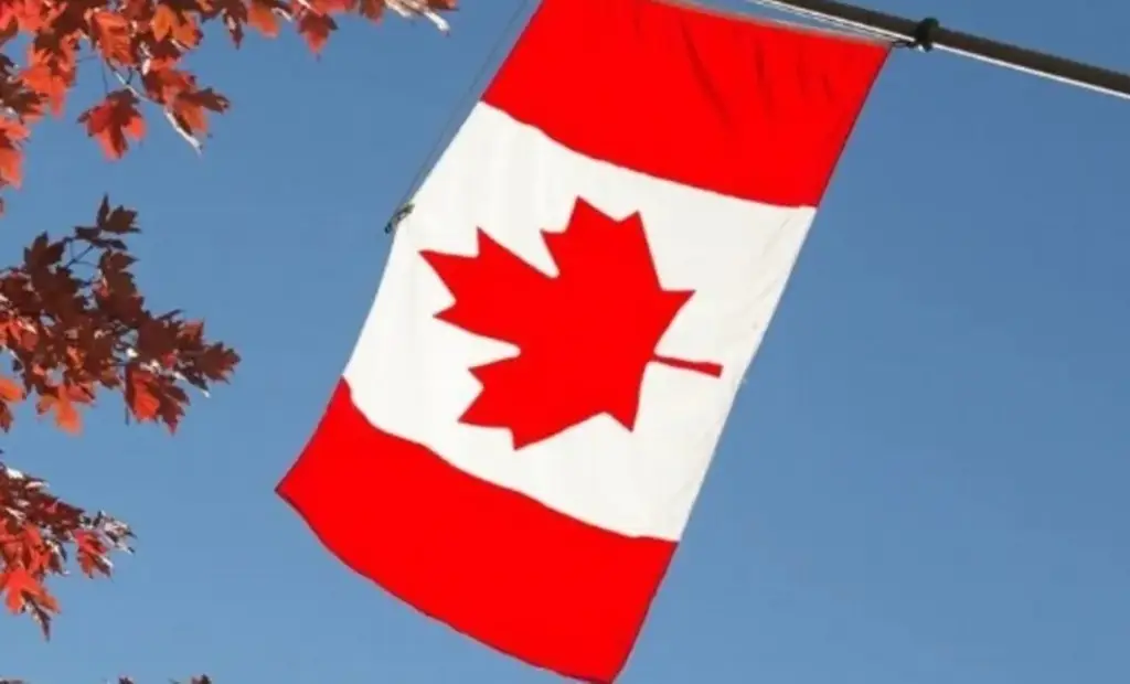 Imagen ¿Quieres trabajar o estudiar en Canadá? Así puedes evitar fraudes 