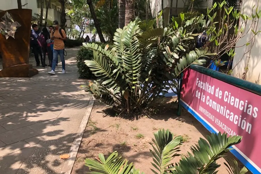 Imagen Incrementarán matrícula en carrera de Ciencias de la Comunicación de la UV