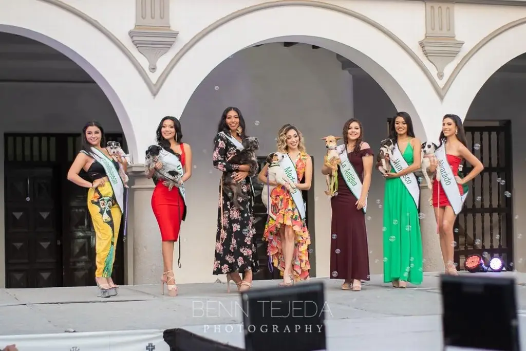 Miss Earth Veracruz, La Roca y Cool Planet ofrecen tierna pasarela de Adopción 