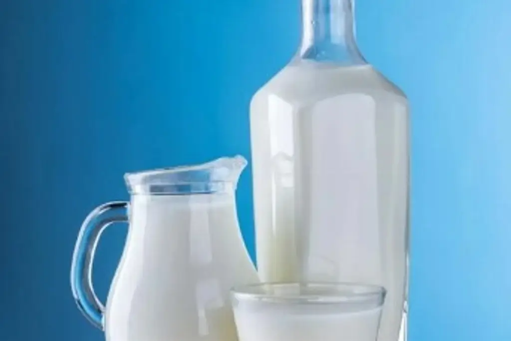 Imagen ¿Qué comer para aumentar la masa magra? 