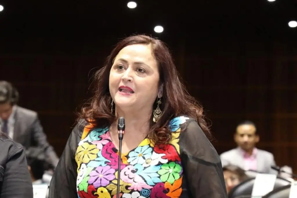 Imagen Diputada renuncia a Morena por falta de apoyo para reducir jornada laboral