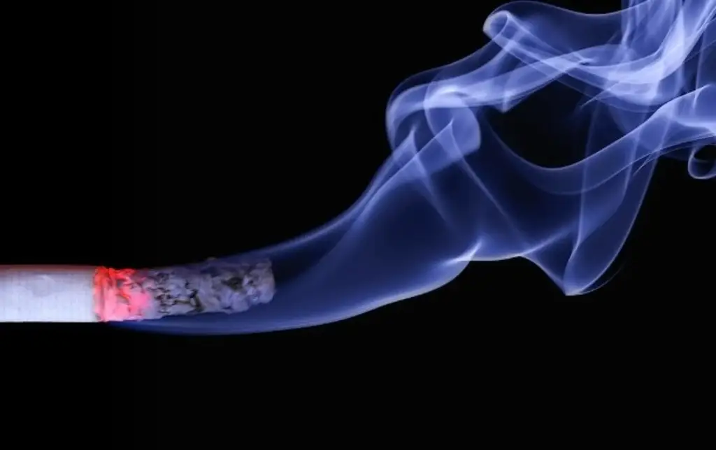 Imagen EU analiza una veda a los cigarrillos de menta 