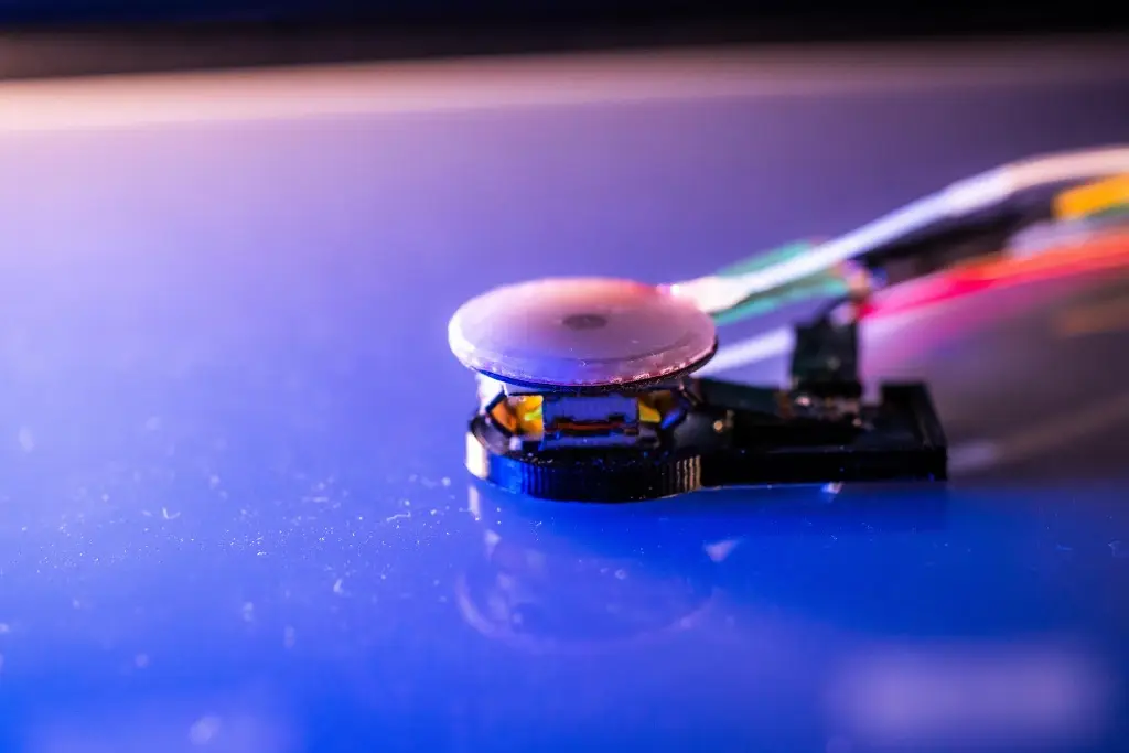 Imagen Investigadores crean interfaz robótica capaz de imitar la sensación humana de suavidad
