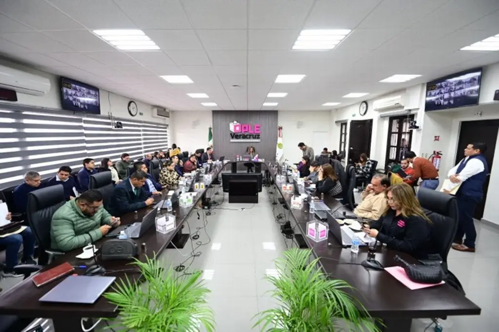 Imagen Declaran improcedente 12 candidaturas independientes en Veracruz