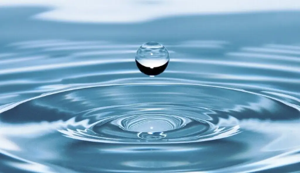 Imagen En el Día Mundial del Agua, llaman a cuidarla todos los días: Así puedes reutilizarla