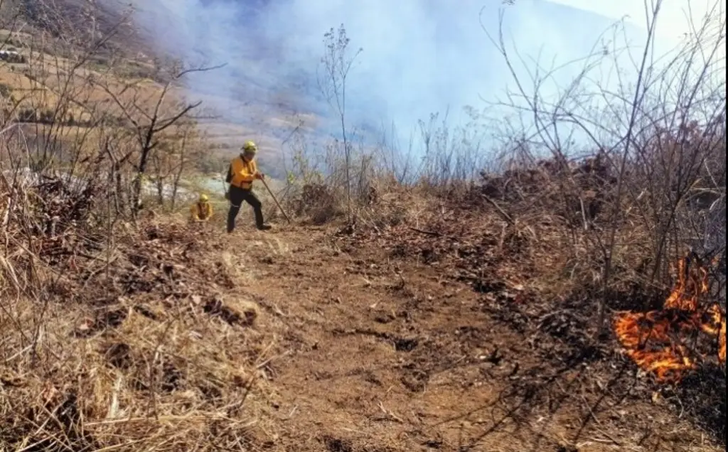 Imagen Hay 6 incendios activos en Veracruz, la mayoría en Las Altas Montañas