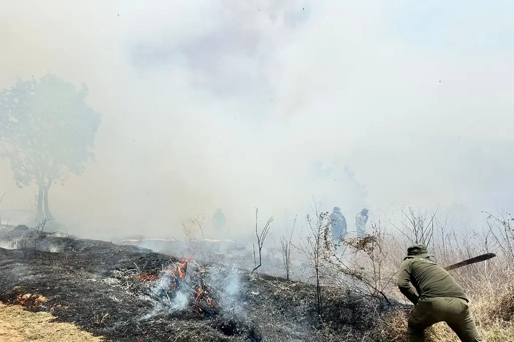 Imagen Ya suman 800 hectáreas afectadas por incendios en las Altas Montañas