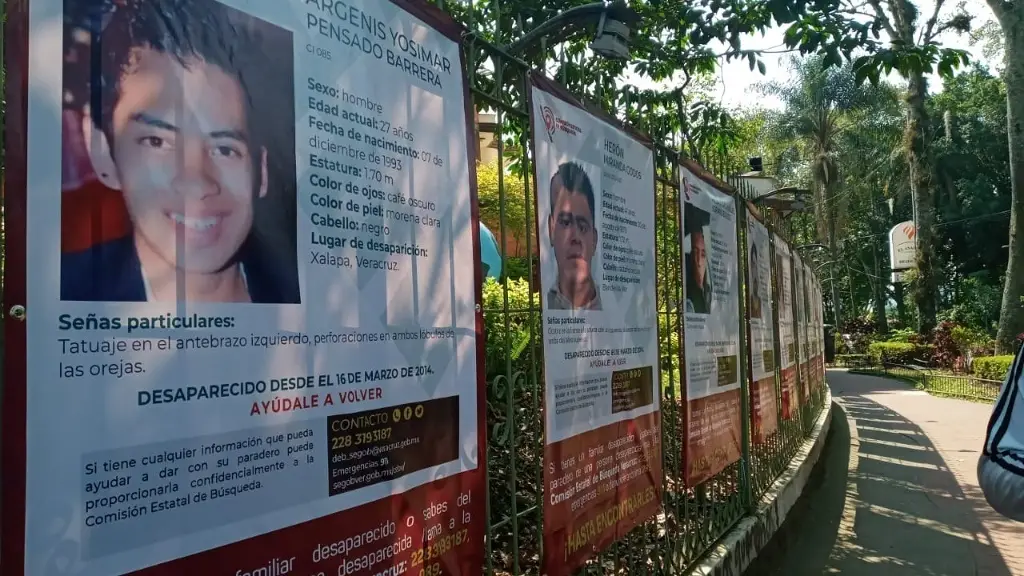 Imagen ¿Cómo reportar una desaparición y que emitan una ficha de búsqueda en Veracruz?