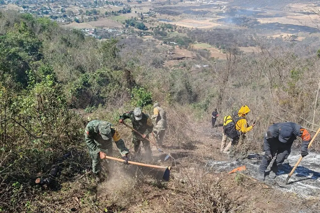 Imagen Incendios forestales han sido provocados por quema agrícola: Sedema 