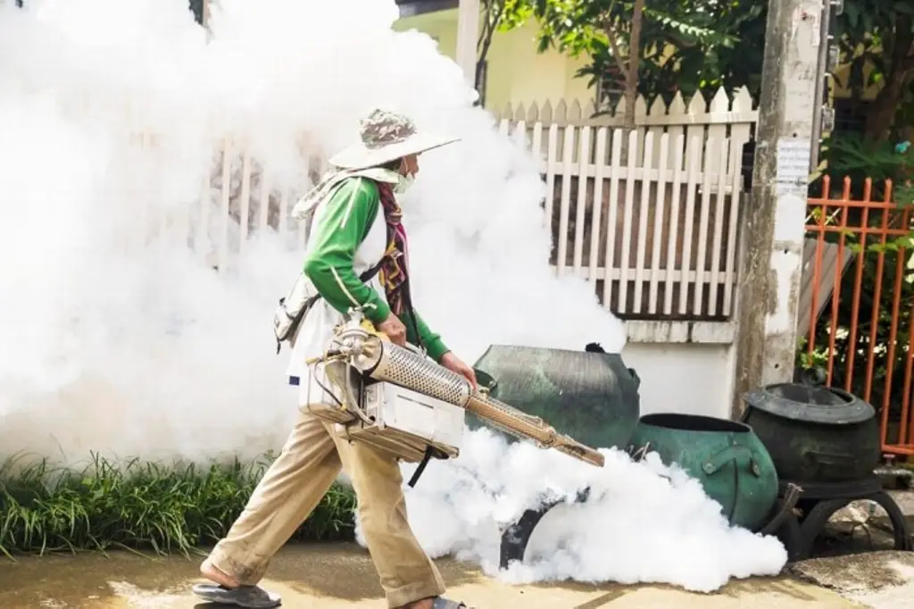 Imagen Estado de Veracruz llega a casi 500 casos de dengue 
