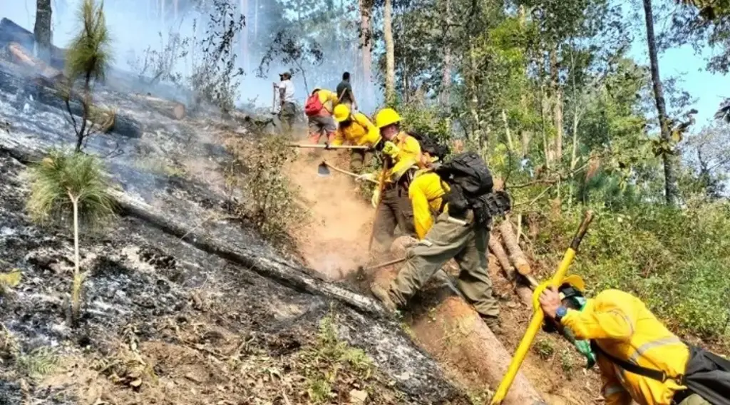Imagen Logran sofocar más de 10 incendios forestales en Estado de México