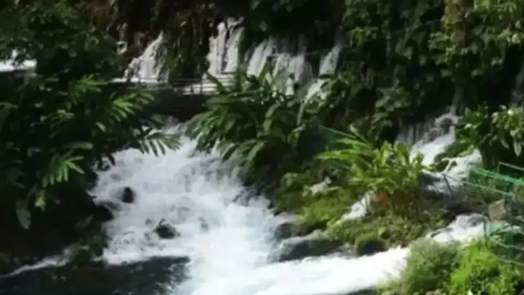 Imagen Así puedes llegar al lugar 'Nace un río, un oasis en Veracruz'