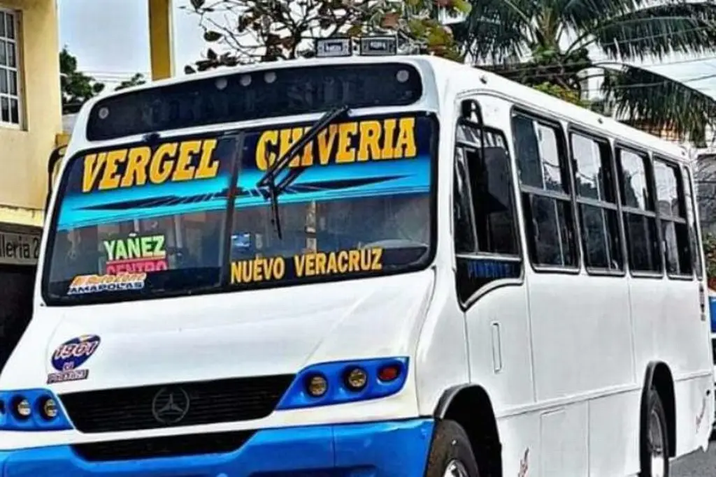 Imagen Harán campaña en camiones de transporte urbano de Veracruz por Día Mundial del Autismo