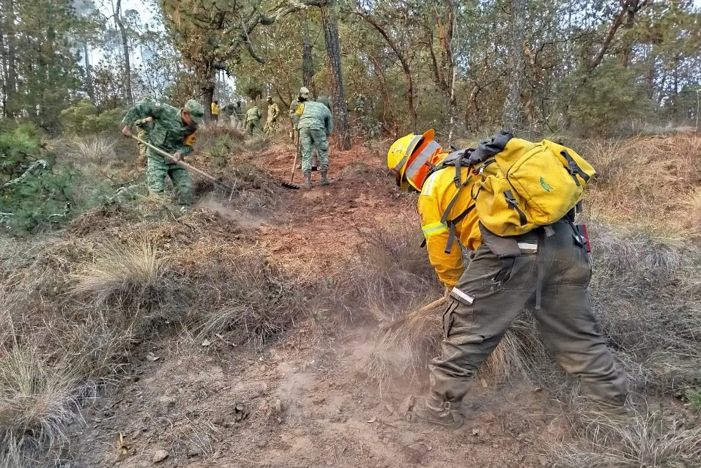 Imagen Liquidan incendio en polígono de las Altas Montañas de Veracruz 
