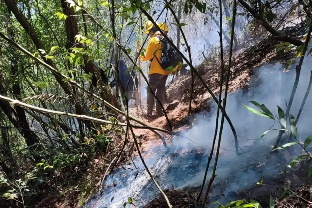 Imagen Incendio forestal en Río Blanco con 60% de control y 40% de liquidación, piden mas voluntarios
