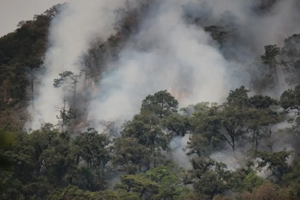 Imagen Cumple 4 días incendio en Río Blanco; periodista acusa que le impiden cobertura 