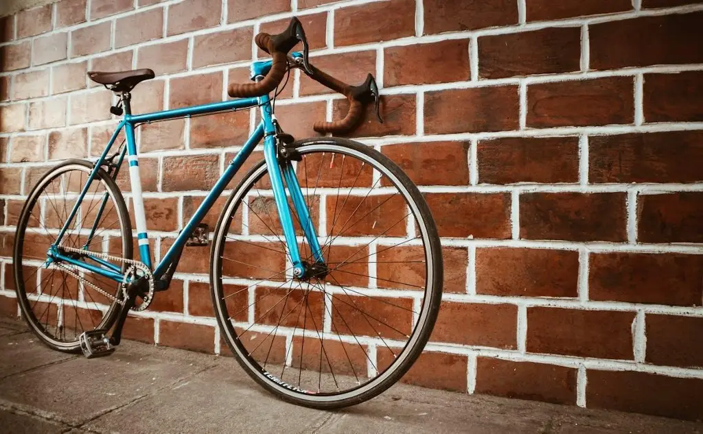 Imagen El uso de la bicicleta representa un ahorro como medio de transporte; ayuda a salud física y mental