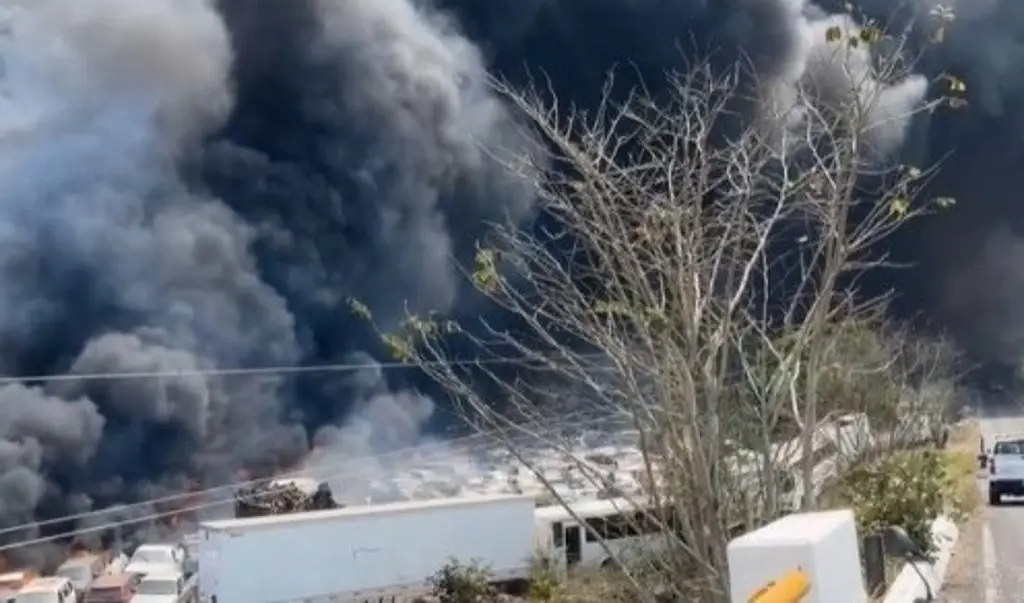 Imagen Liquidan incendio de corralón en Emiliano Zapata, Veracruz; reportan 300 vehículos dañados 