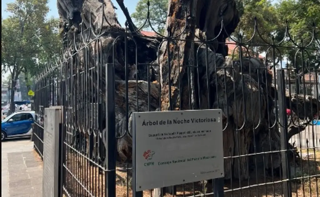 Imagen Colocan placa con la leyenda 