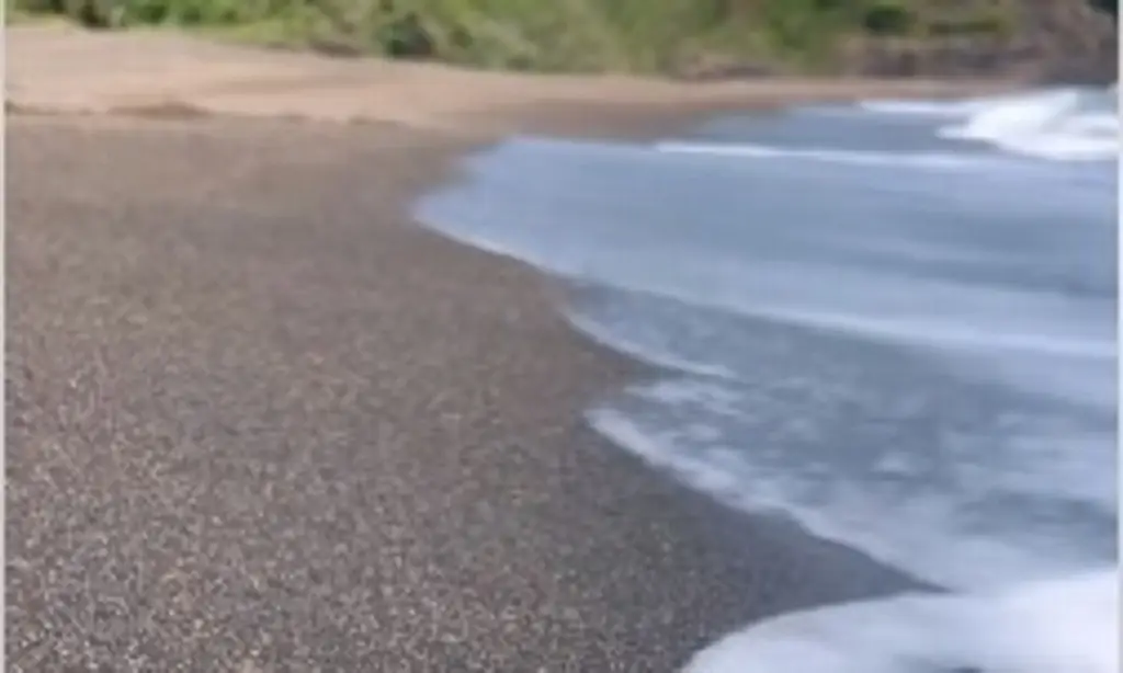 Imagen Hay una playa con arena dorada en Veracruz