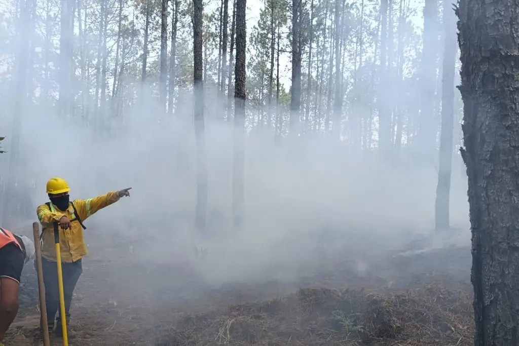 PC reporta 3 'incendios forestales de relevancia' en Veracruz